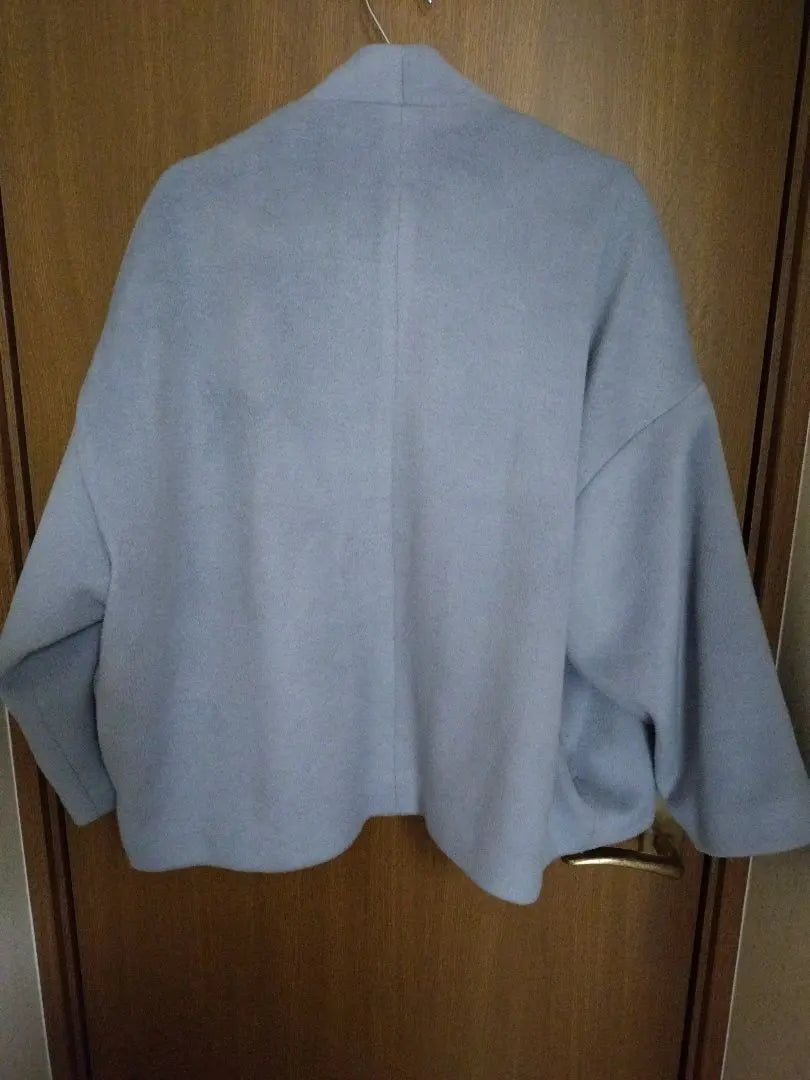 Chaqueta de pelo sintético RE-J Talla grande | Re-J フェイクファー ジャケット 大きめサイズ