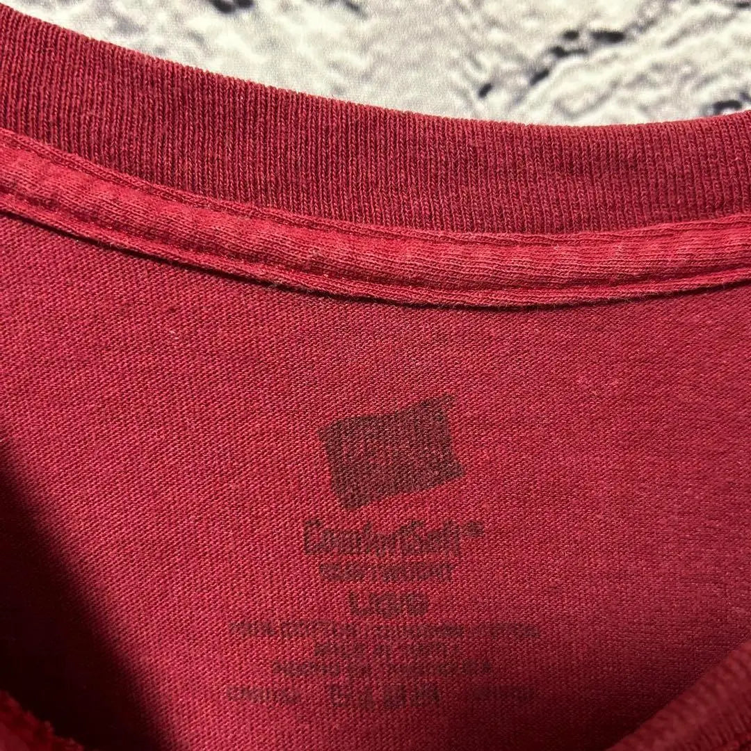 [Hanes] Camiseta de manga corta Hanes para hombre y mujer, color rojo, de segunda mano