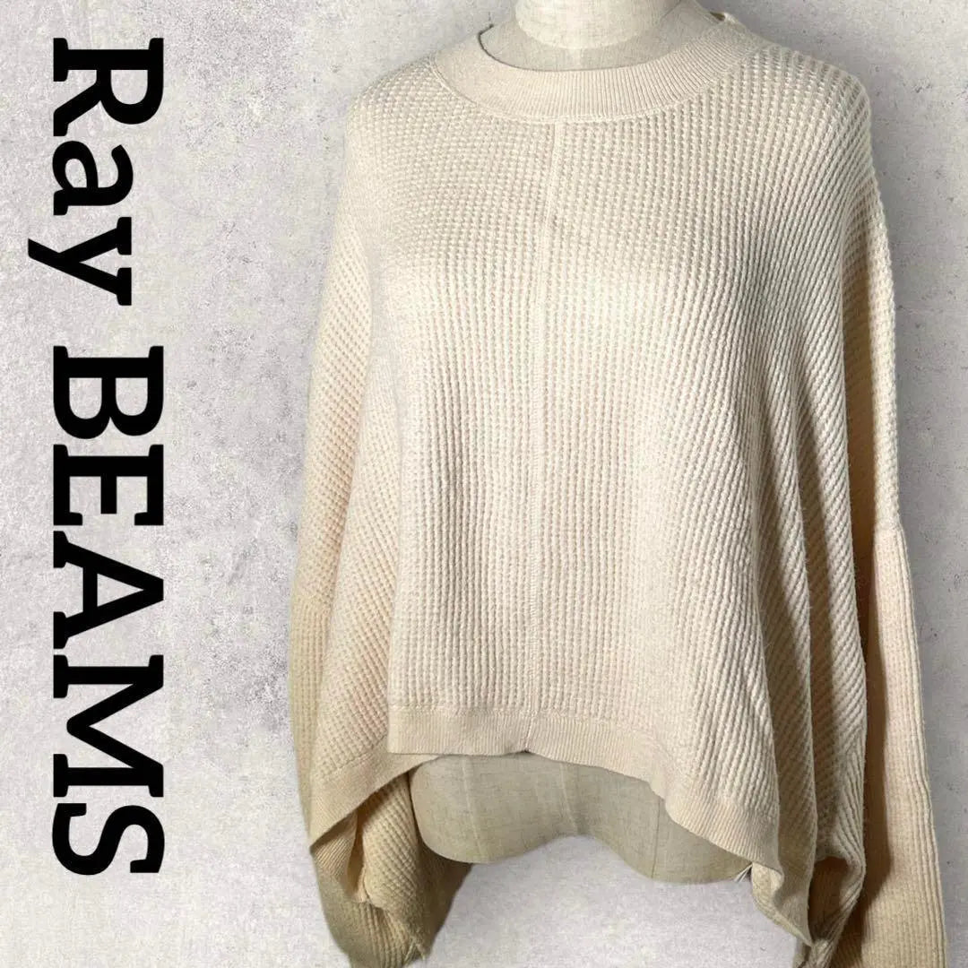 Raybeams pullover knit sweater (F) white sleeve dowel large