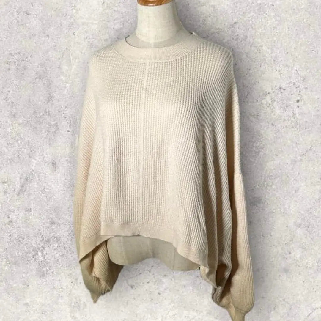 Raybeams pullover knit sweater (F) white sleeve dowel large