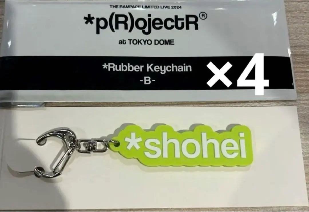 *p(R)ojectR® Urakawa Shohei Rubber Keychain Set of 4