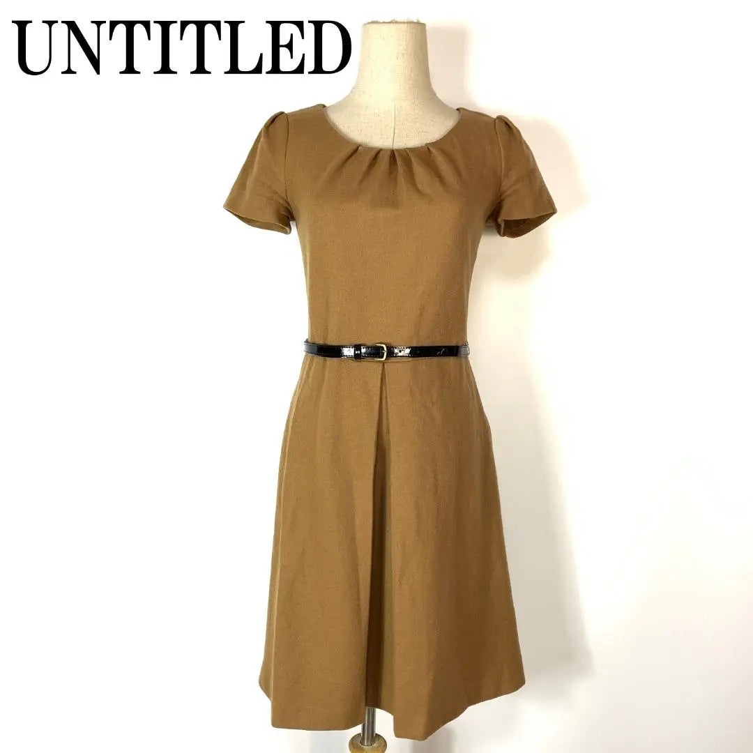 UNTITLED Untitle Short Sleeve Dress Brown Beige 1 B7564