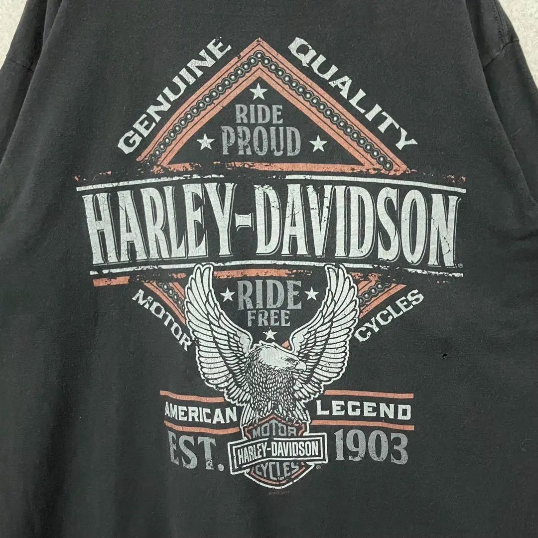 Raro [ropa vieja] Harley Davidson Camiseta con estampado de doble cara Fire Skull XL | レア【古着】ハーレーダビッドソン 両面プリントTシャツ ファイヤースカル XL