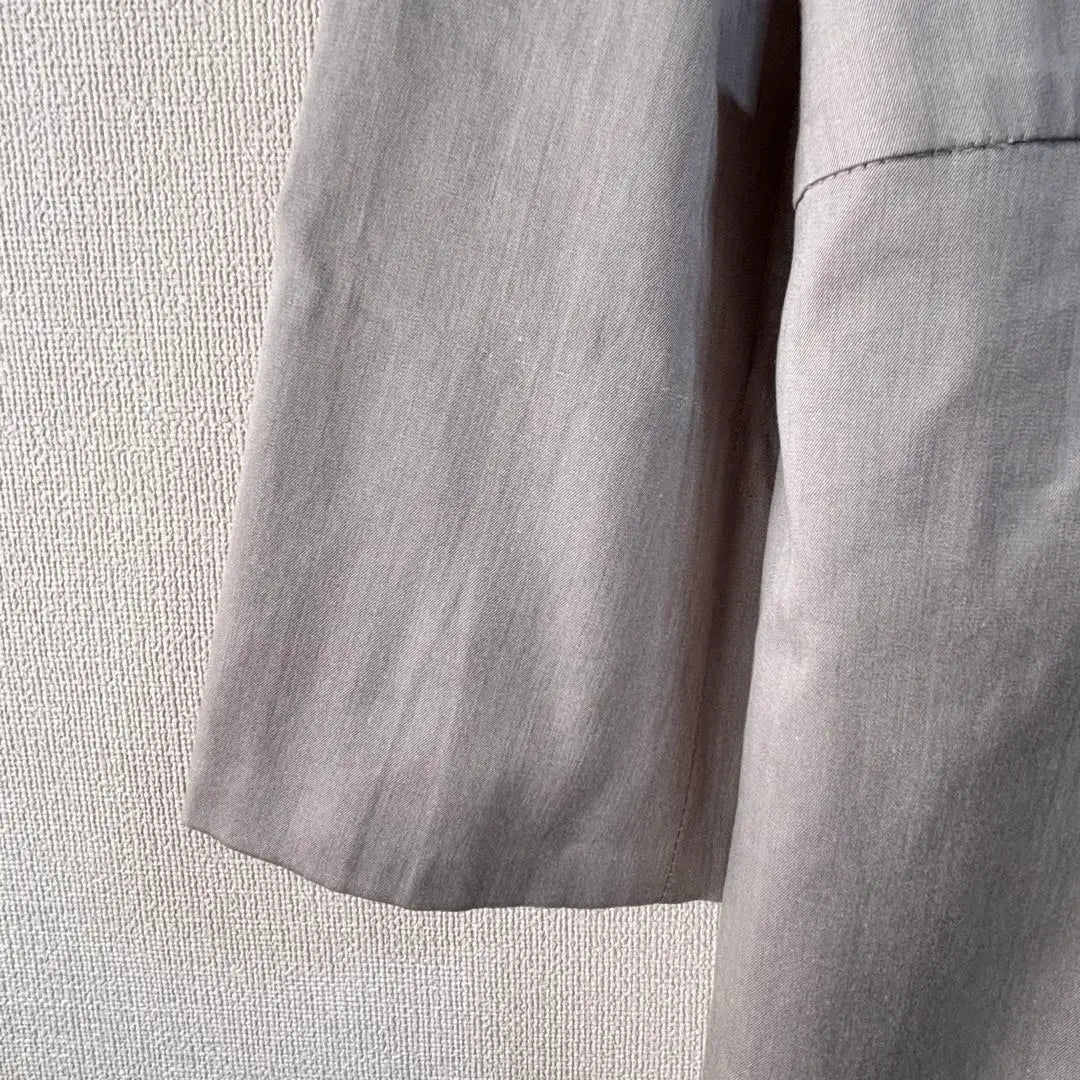 Absorte L Long Coat Stand Color Made in Japan Light button thin gray