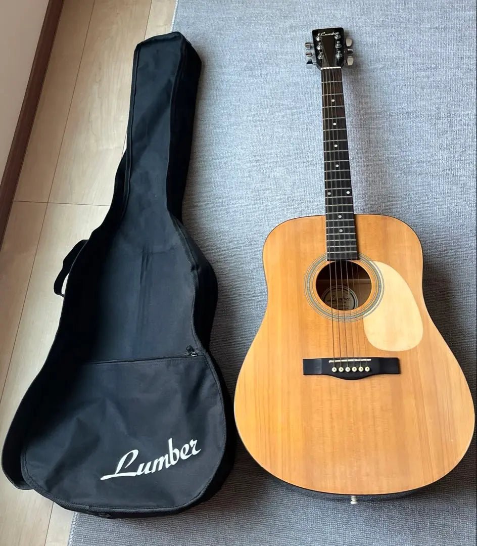 Acoustic case included