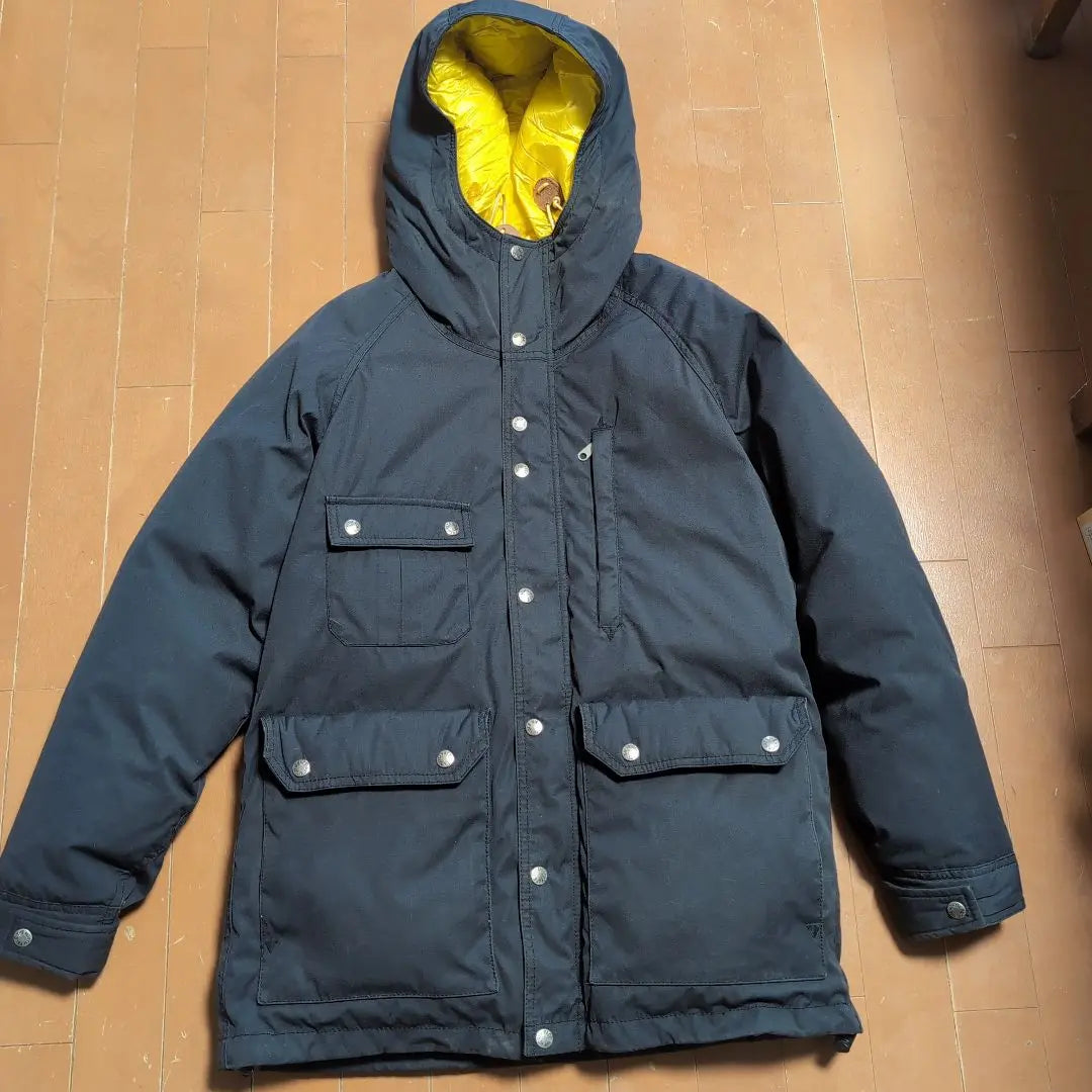 North Face Purple Label Mountain Parka