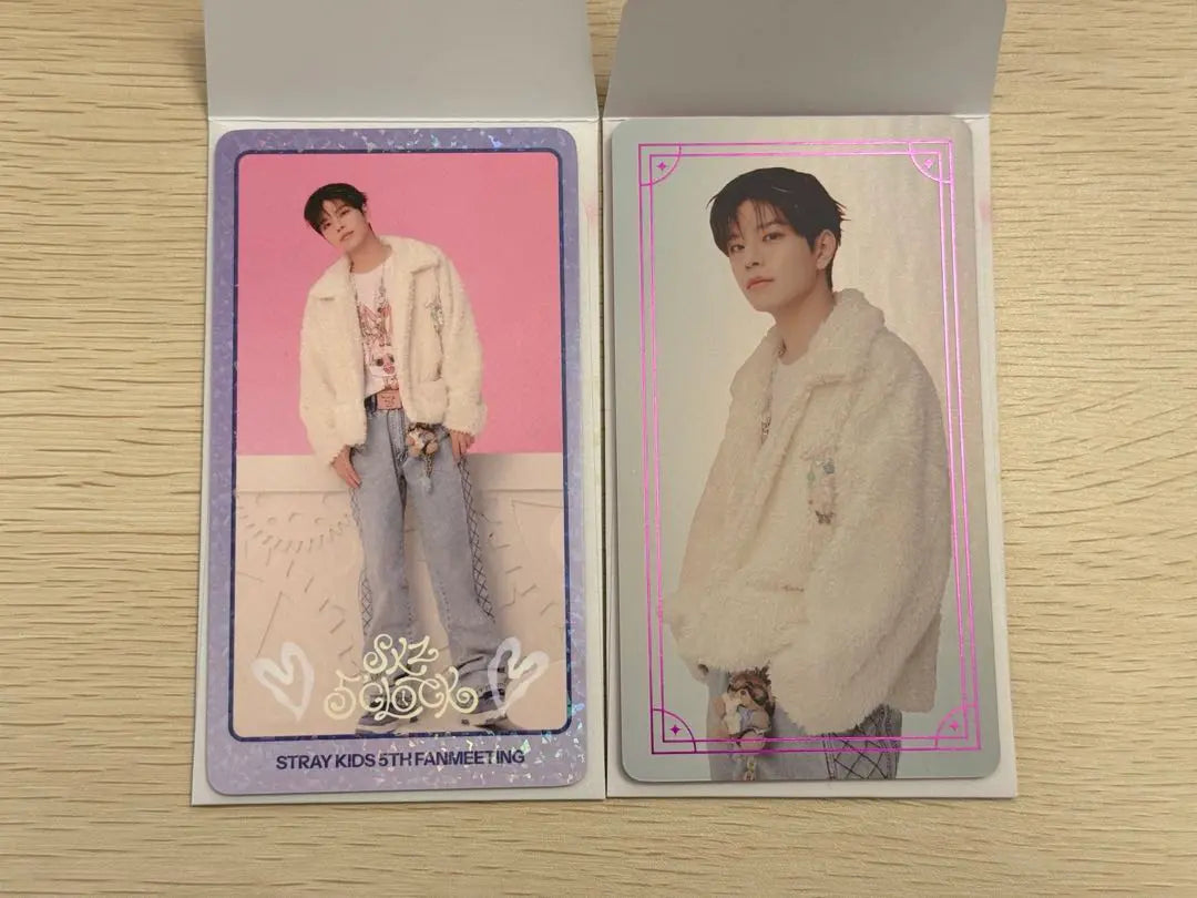 Stray Kids Skis Korean Penmi Trading Card Seungmin