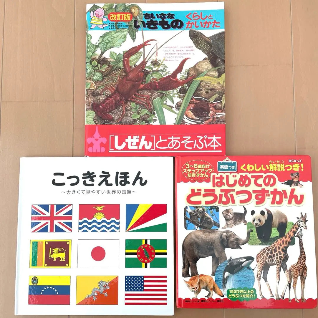 Conjunto de libros ilustrados libro ilustrado sobre seres vivos y banderas nacionales | 生物・国旗に関する絵本セット 図鑑