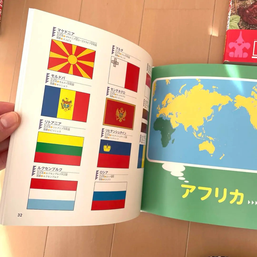 Conjunto de libros ilustrados libro ilustrado sobre seres vivos y banderas nacionales | 生物・国旗に関する絵本セット 図鑑