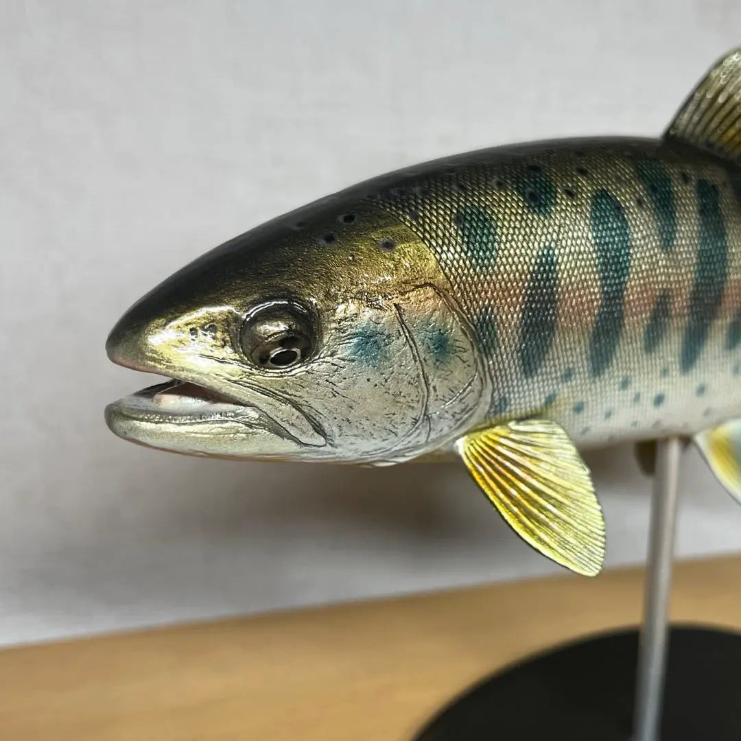 Figura de pez Yamame de 27 cm hecha a mano, réplica de interior de pesca