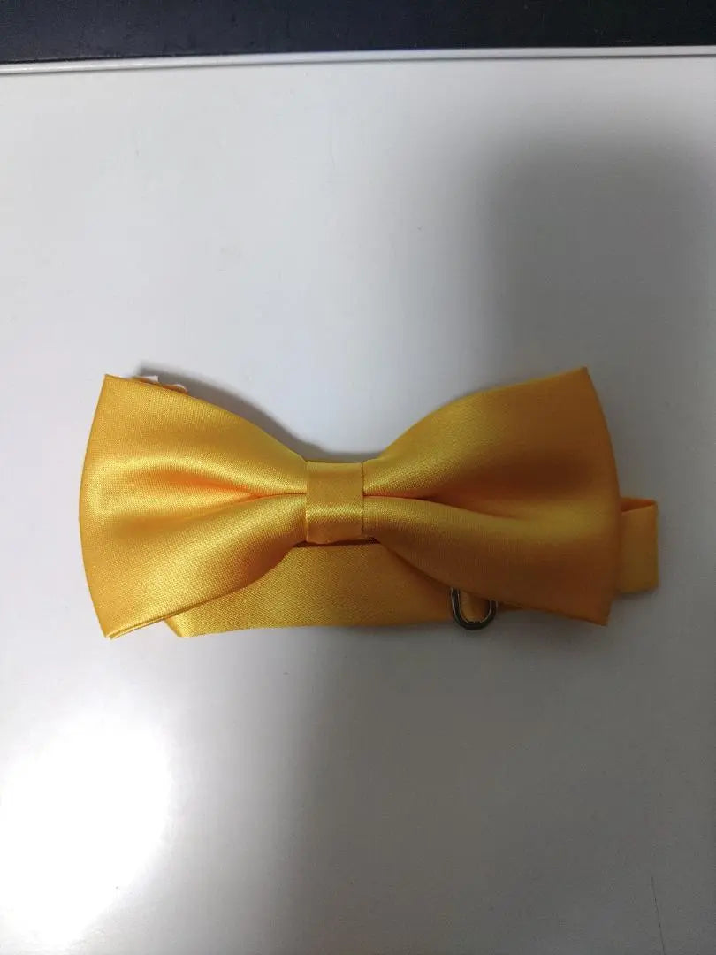 ☆New and unused Kyokushinkai Hall Kyokushin Karate Bow tie for judgement☆