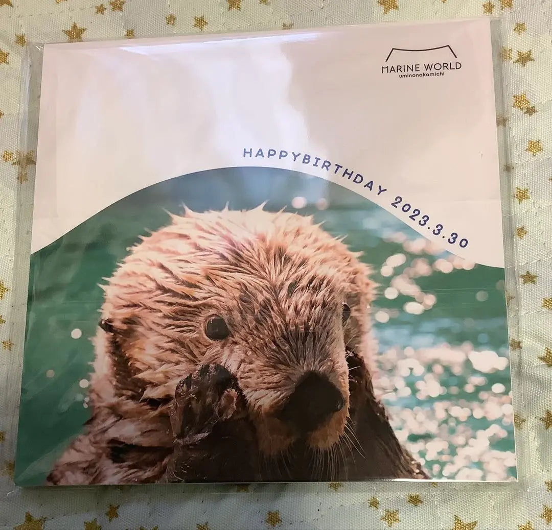 WE LOVE RIRO Marine World Uminonakamichi Unopened Sea Otter Rilo