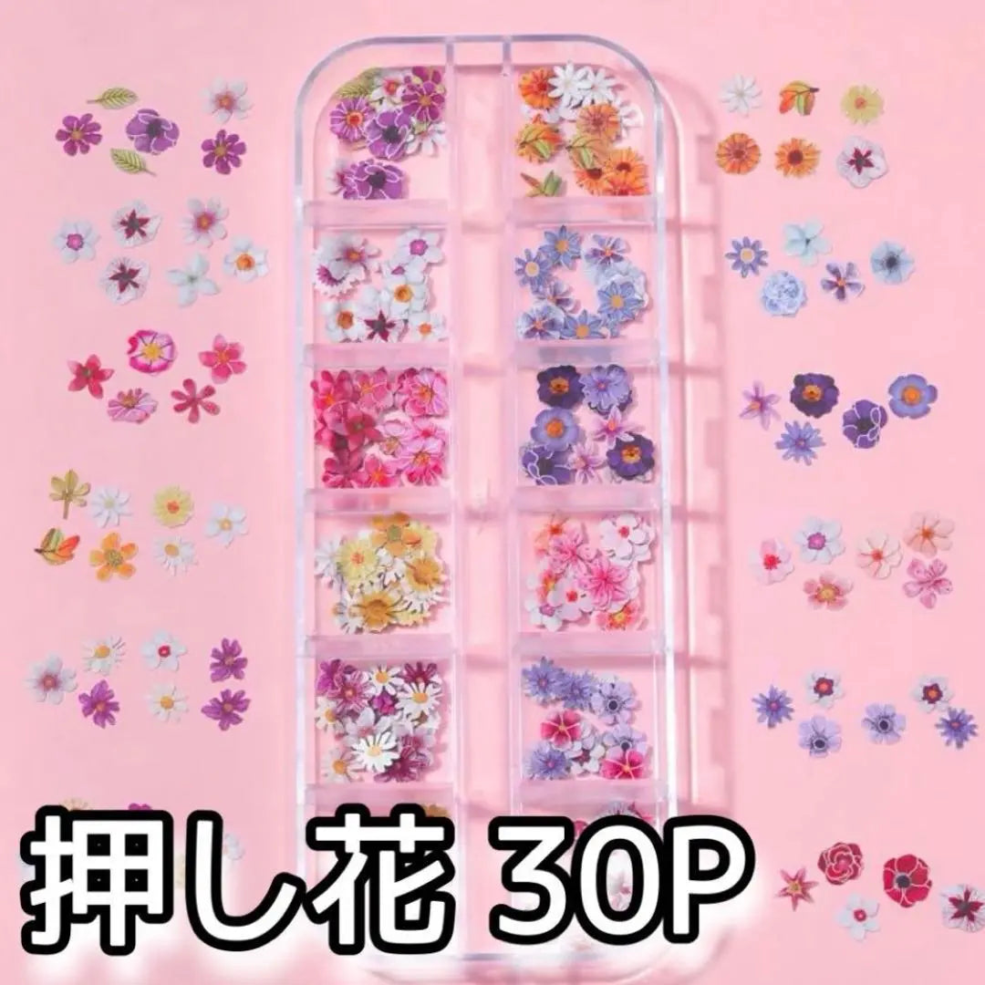 Prensado de flores 30p partes de uñas