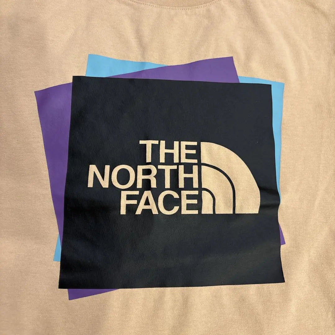 THE NORTH FACE logo short sleeve T-shirt LOOSE FIT Men's L