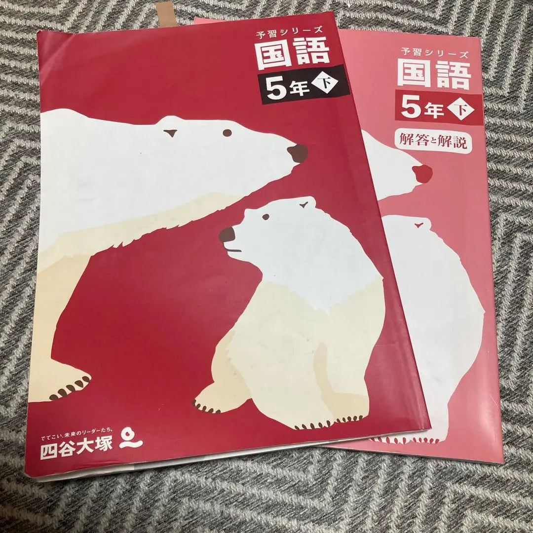 Escribiendo la serie Oyotani Otsuka 5 años menos en japonés | 書き込み小 四谷大塚 予習シリーズ 国語 ５年 下