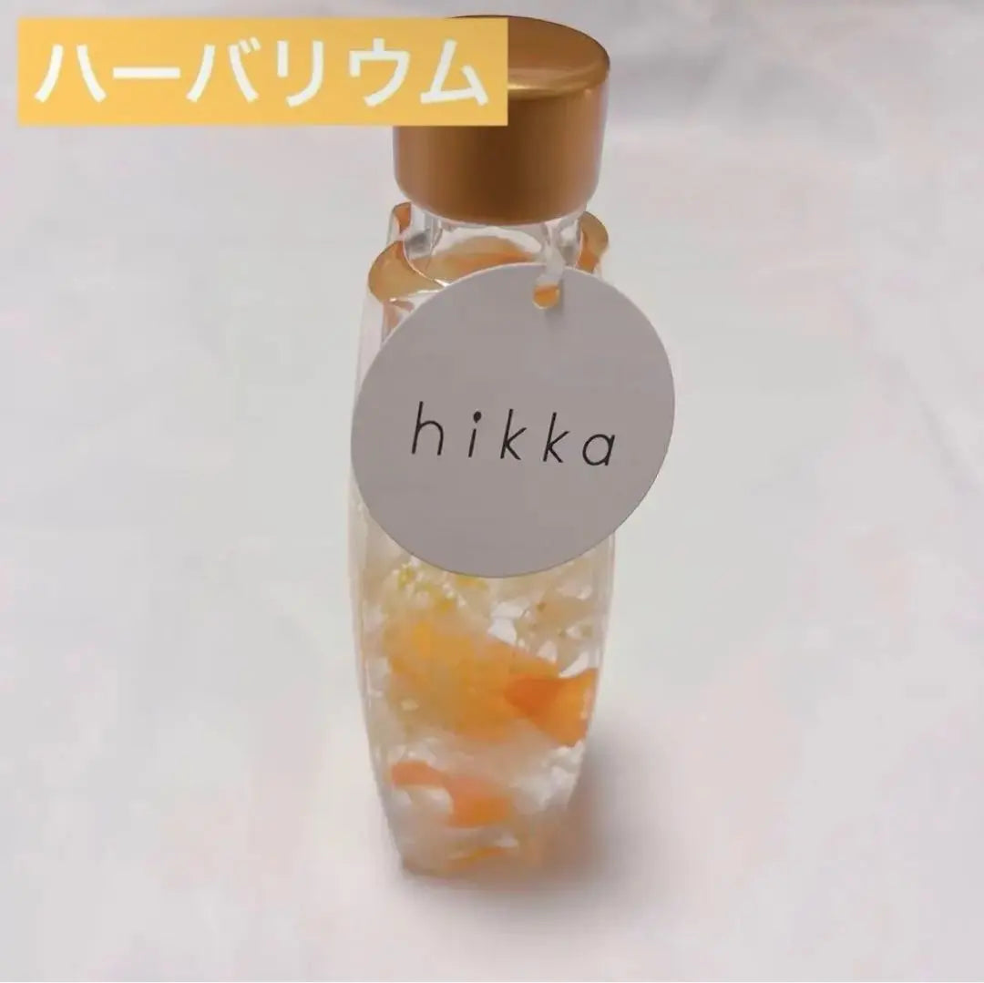 ●Herborium orange hikka hikka gift present anniversary celebration