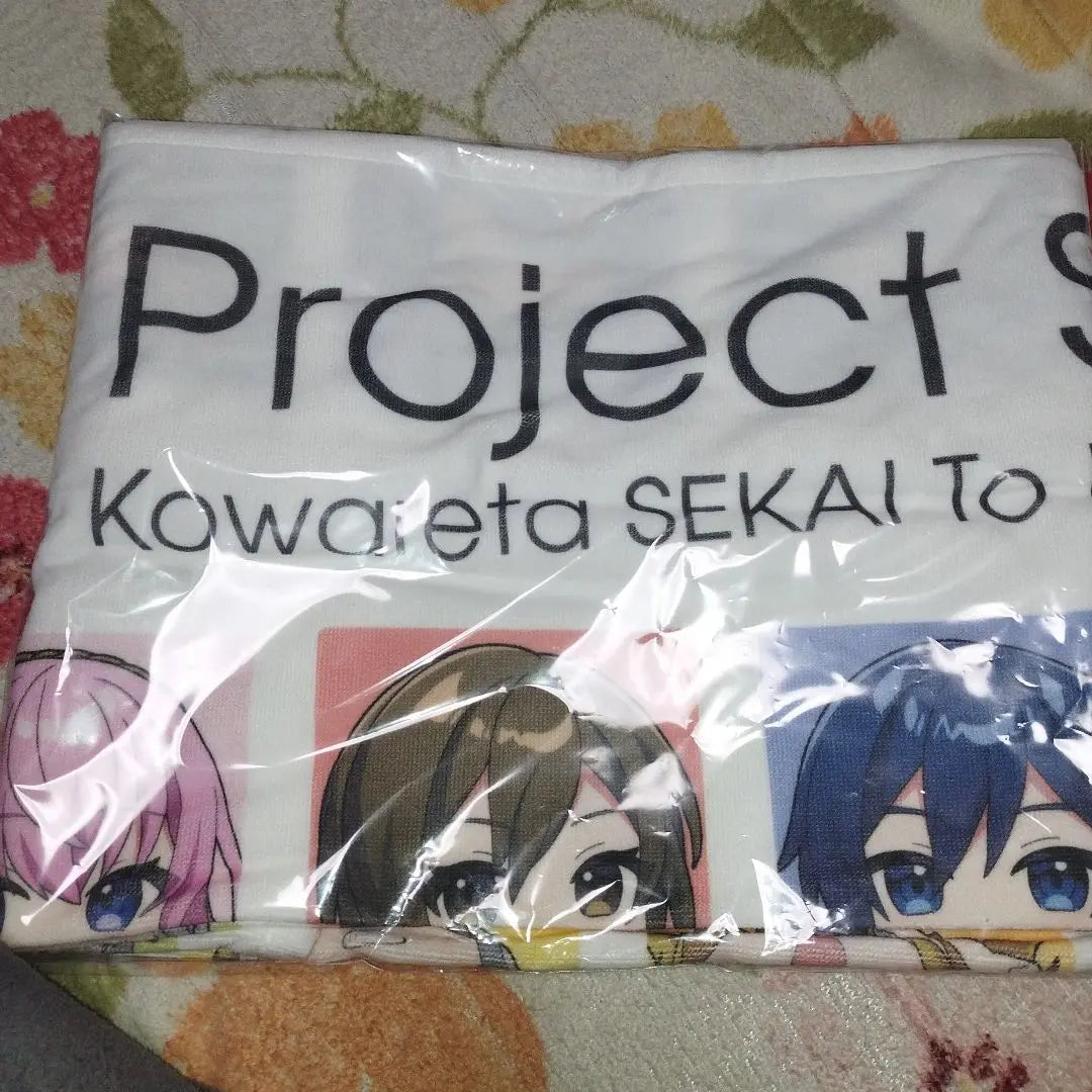 Project Seka Towel