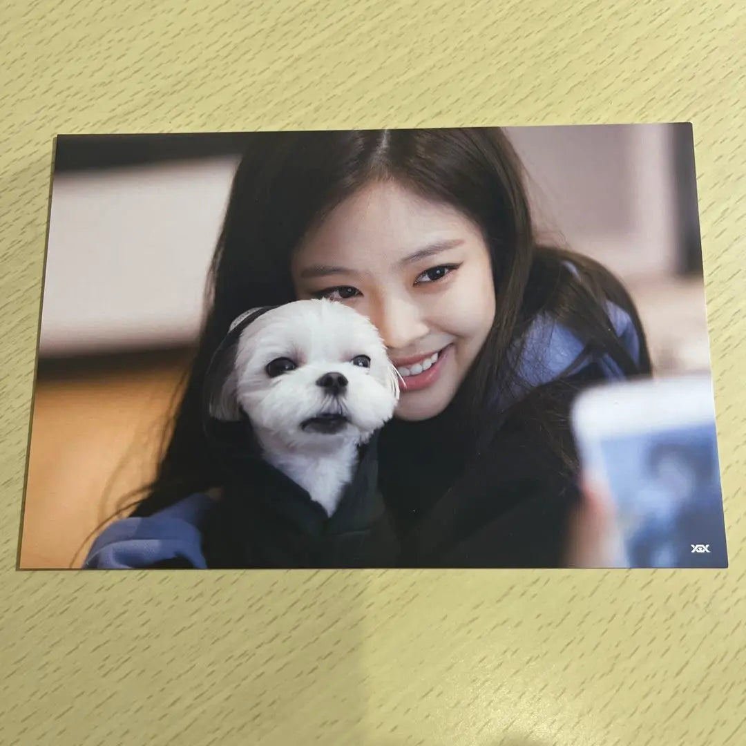 blackpink house postcard jenni mumo bonus dvd