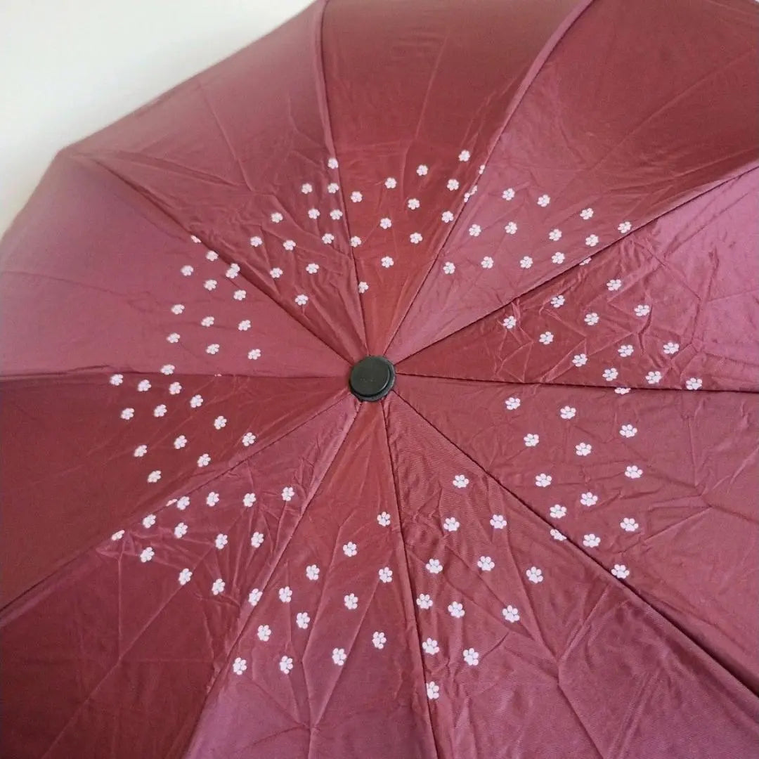 Rain umbrella Folding umbrella Parasol Cat Cat Wine red Large Large Large