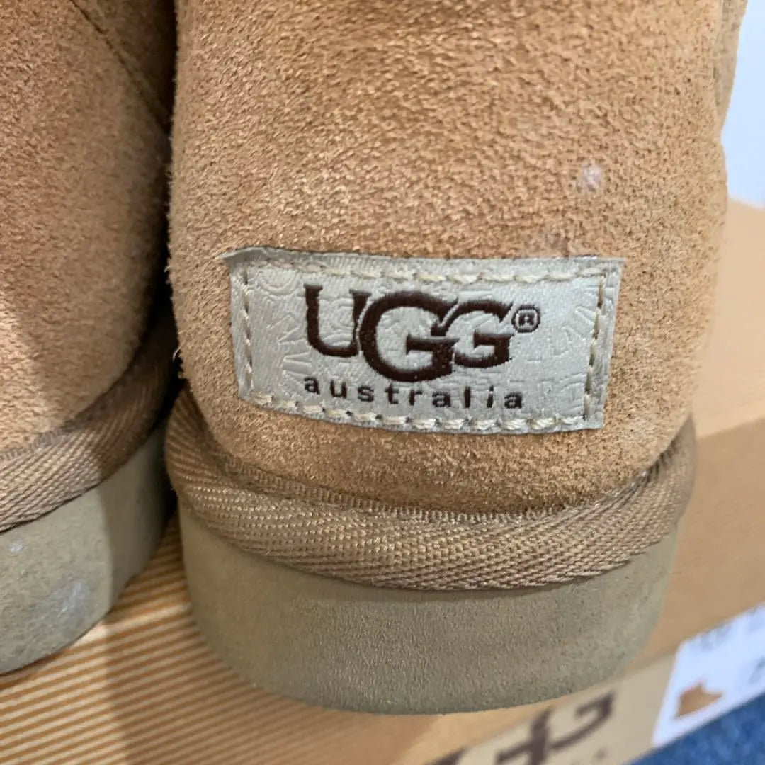 [UGG] W Classic mini 24cm Mouton boots