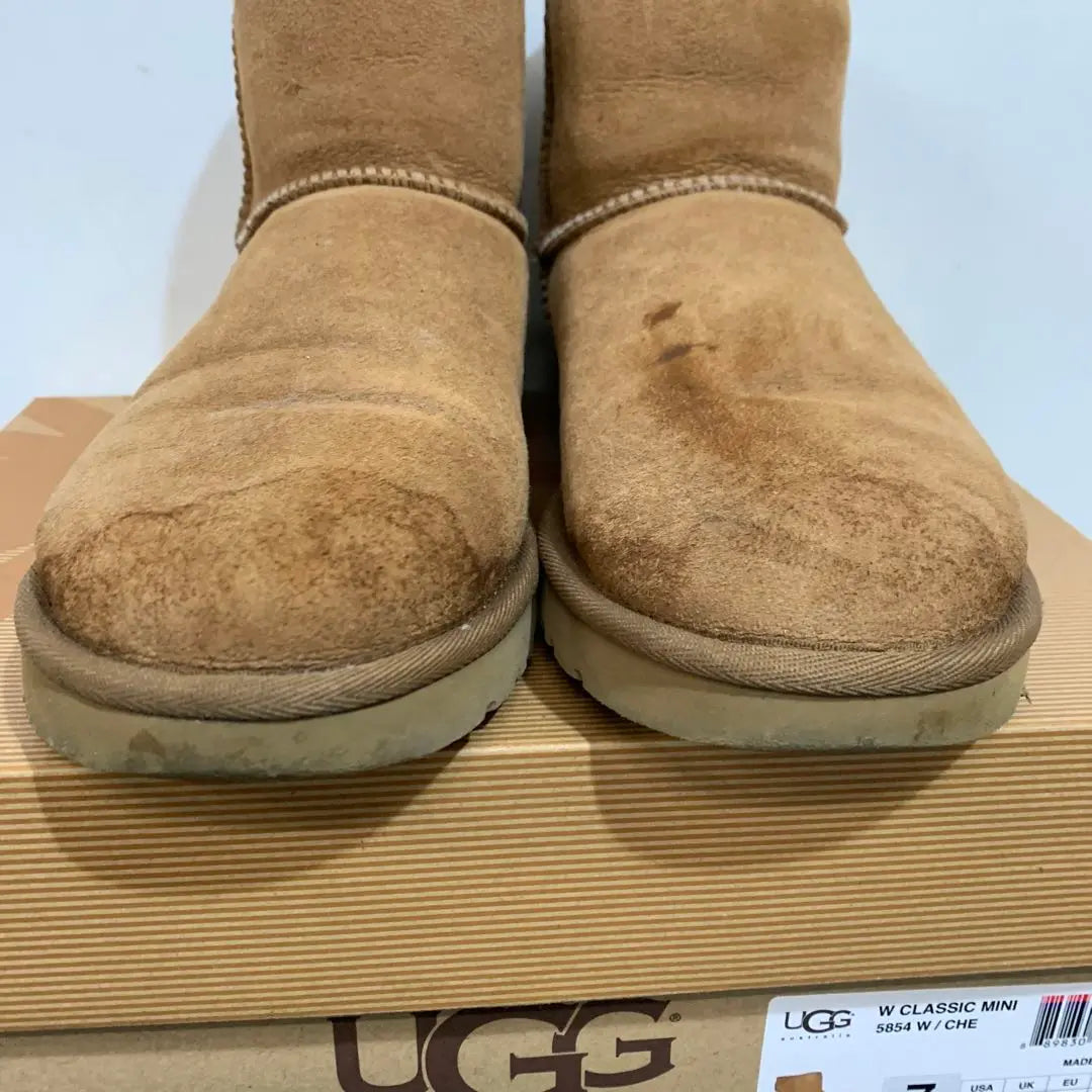 [UGG] W Classic mini 24cm Mouton boots