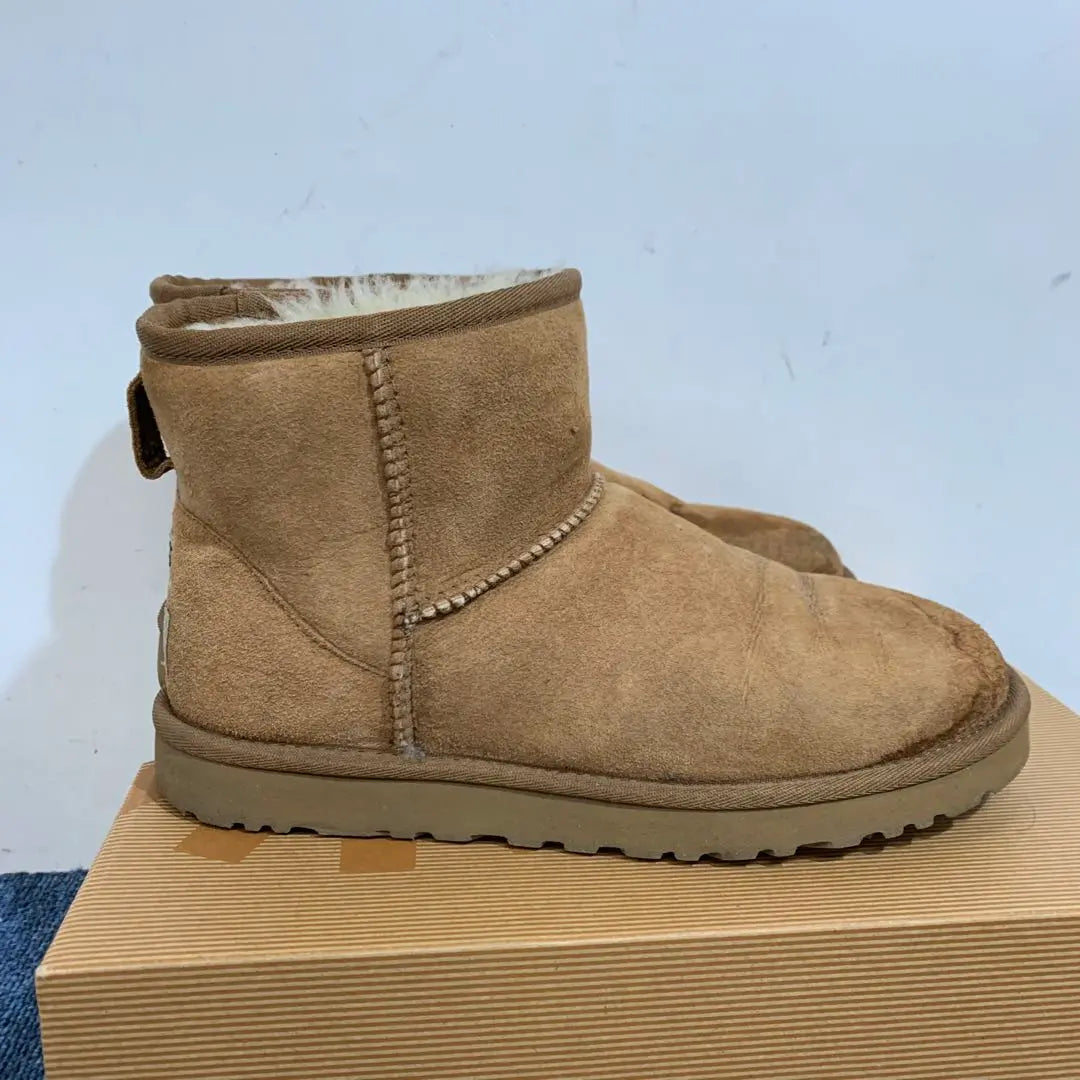 [UGG] W Classic mini 24cm Mouton boots