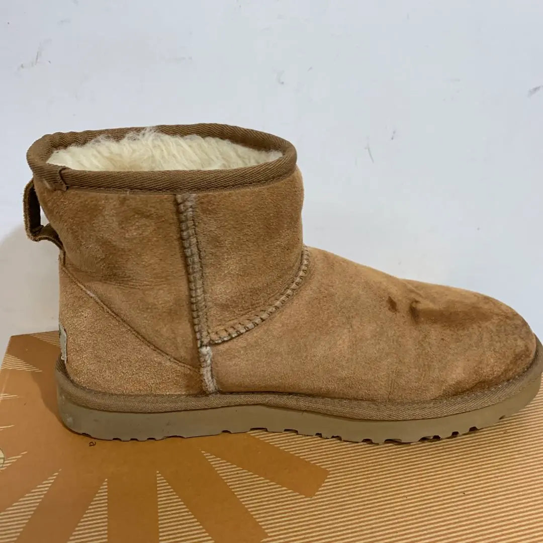 [UGG] W Classic mini 24cm Mouton boots