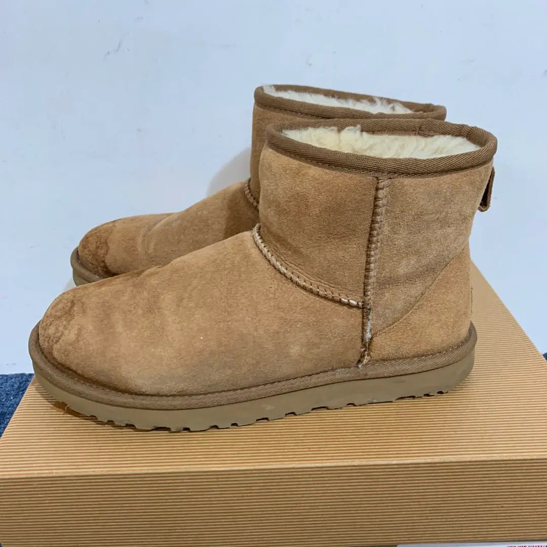 [UGG] W Classic mini 24cm Mouton boots