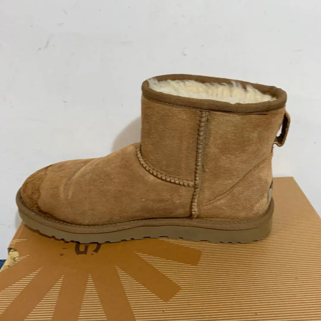 [UGG] W Classic mini 24cm Mouton boots