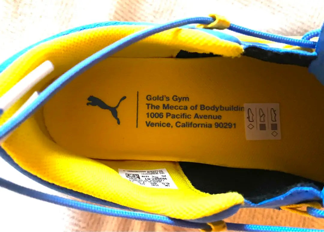 25.5cm super rare★Gold Gym Venice Main Store x Puma Collaboration★Shoes★Unused New