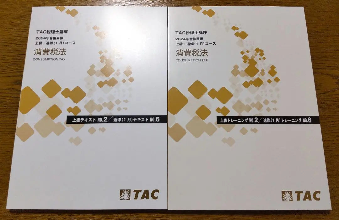 2024 TAC Consumption Tax Law Advanced Course No.2 Set Tax Accountant Examination