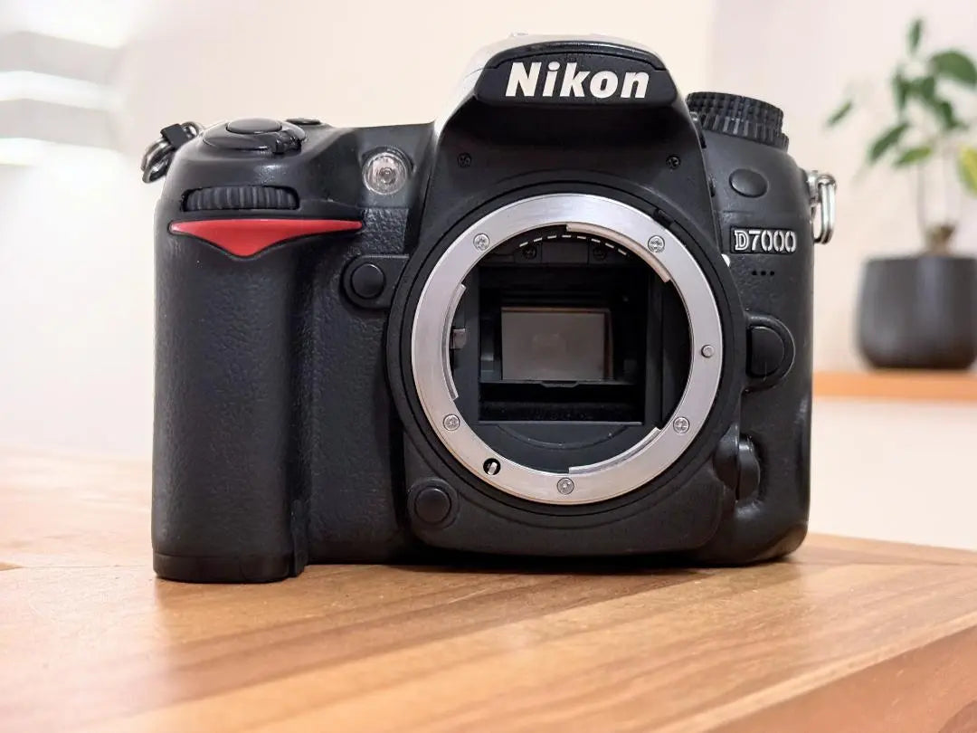 Nikon D7000 & genuine battery, charger, SD card, strap included