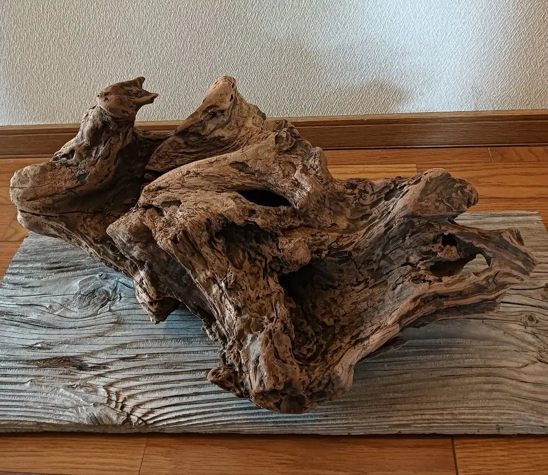 407 Driftwood, impressive (48cm) Red, super beautiful, Insect reptile, Aquarium