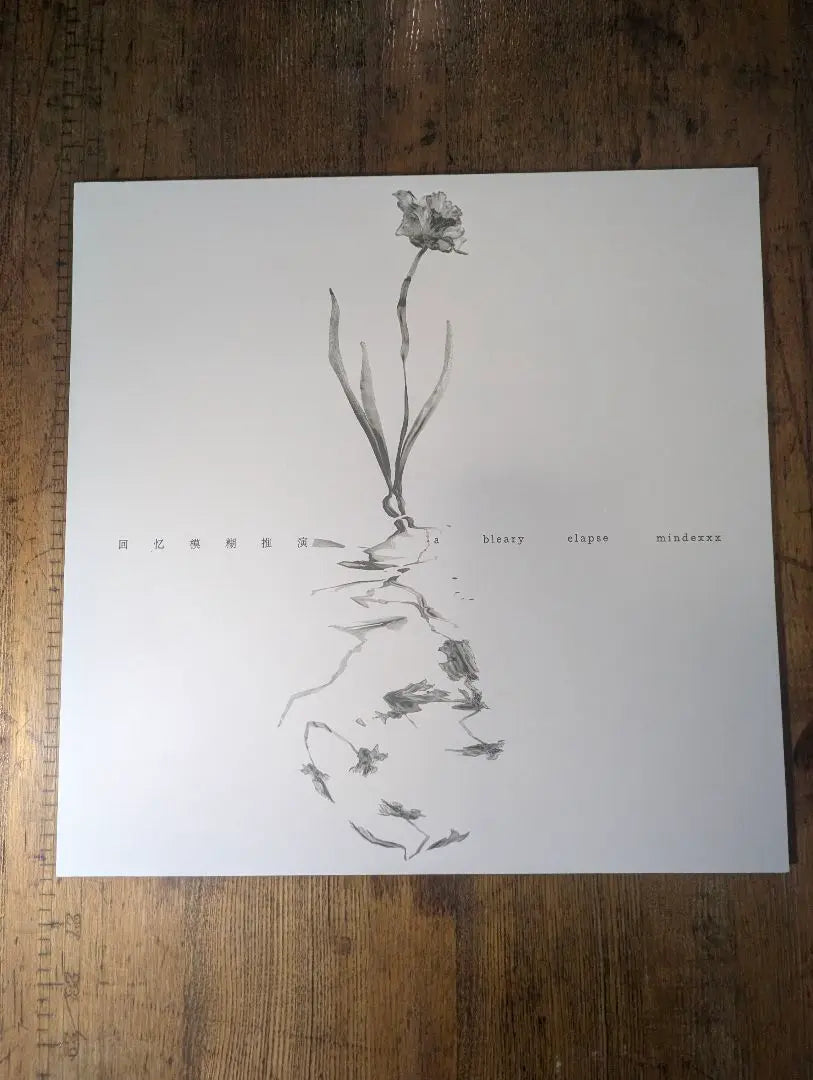 [USED/Good condition] mindexxx // A Bleary Elapse LP