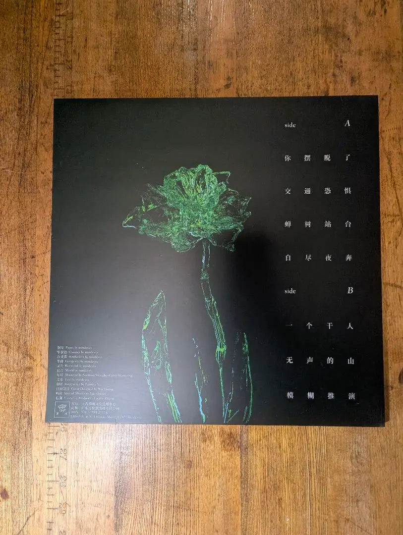 [USED/Good condition] mindexxx // A Bleary Elapse LP