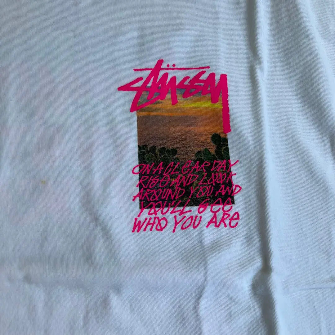 Stussy | El hombre de las maravillas