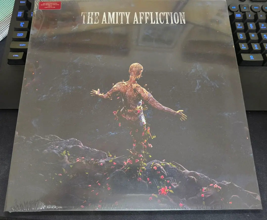 La aflicción de Amity Vinilo sangre de buey /400