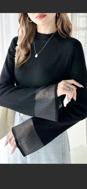 Sleeves Glitter Sheer High Neck Rib Knit