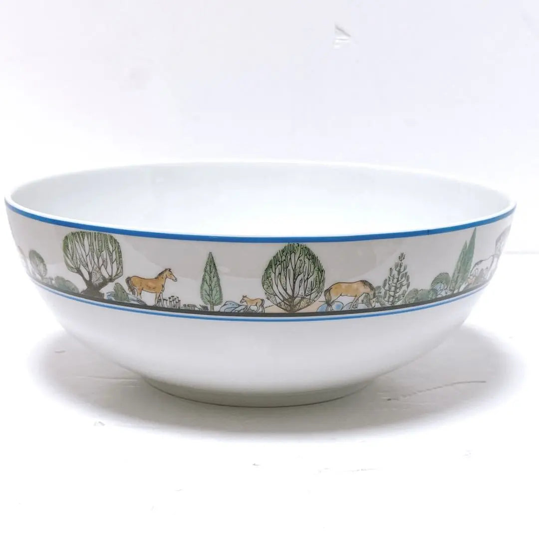 [Unused] [Rare out of print] Christian Dior Mustang Salad Bowl (Large)