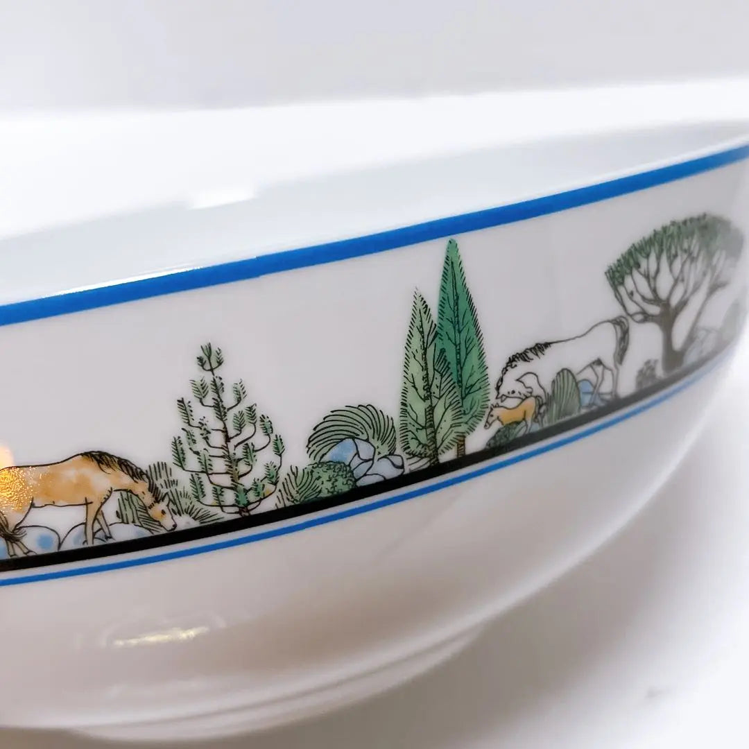 [Unused] [Rare out of print] Christian Dior Mustang Salad Bowl (Large)