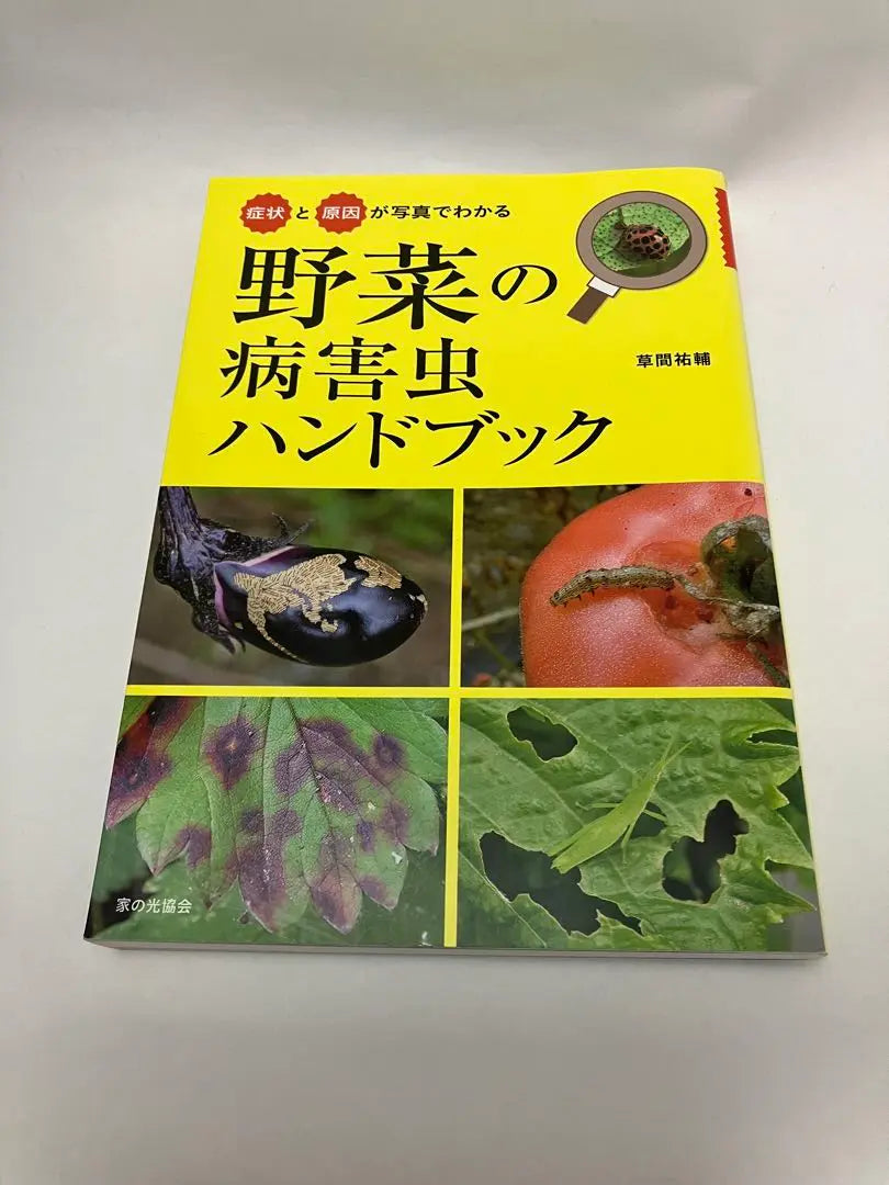 A handbook of vegetable diseases and pests that reveal symptoms and causes through photos