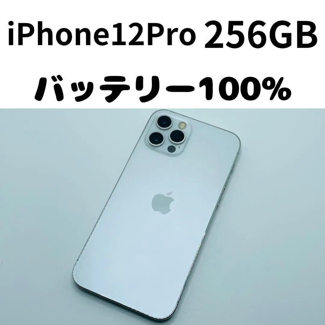 [Artículo barato y hermoso] iPhone 12Pro 256GB SIM cuerpo libre 71