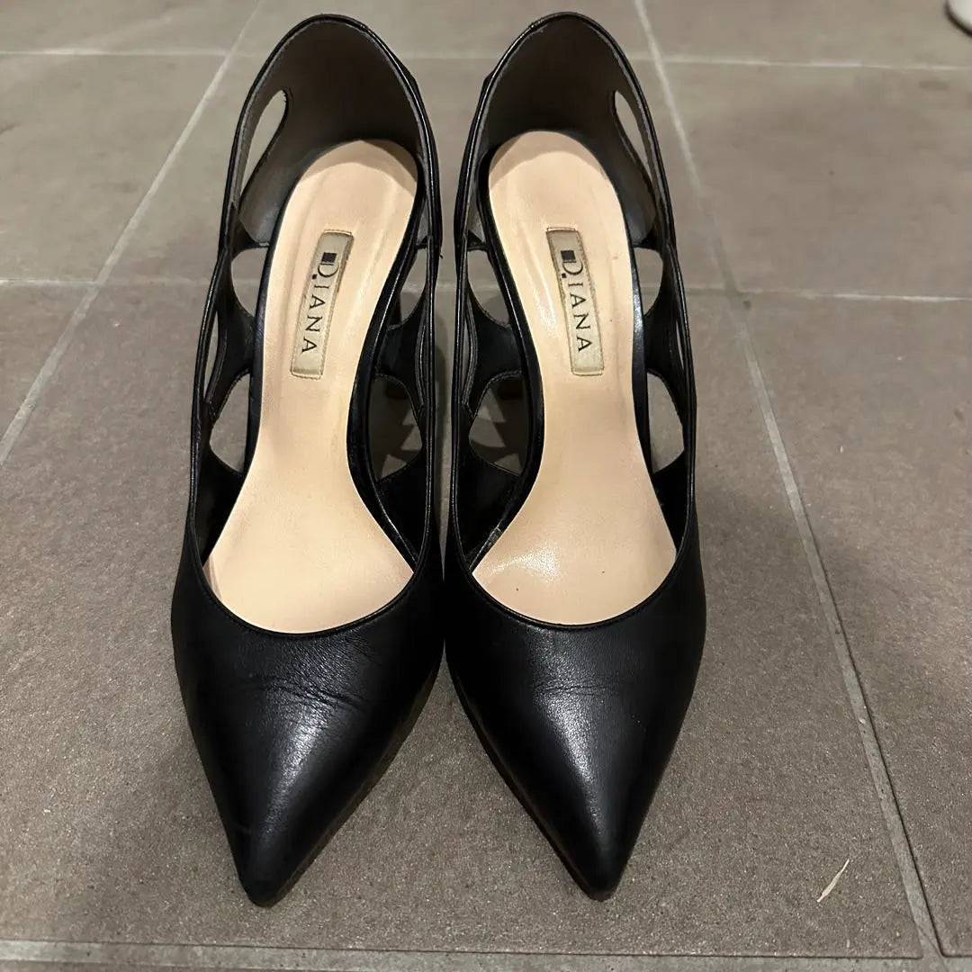 DIANA Pumps Set of 4