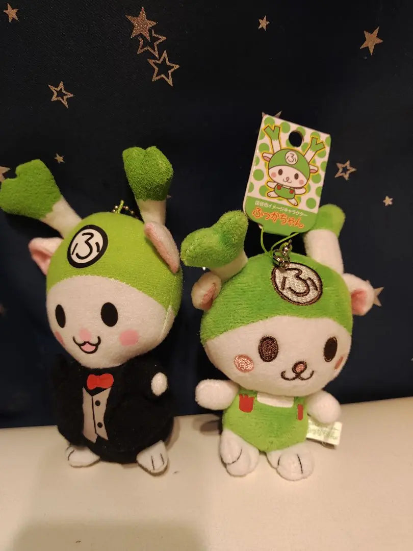 3 2/13 Fukaya Fukka-chan stuffed animal local green onions