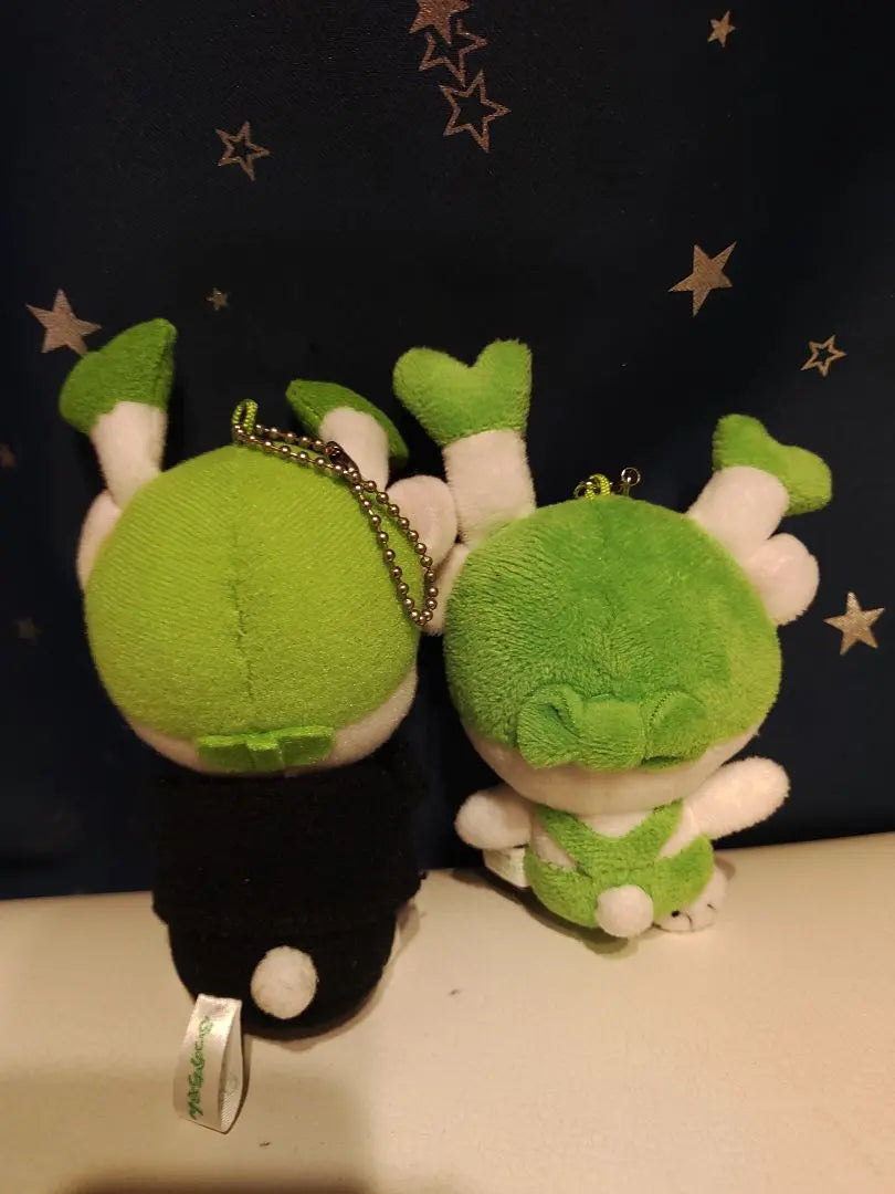 3 2/13 Fukaya Fukka-chan stuffed animal local green onions