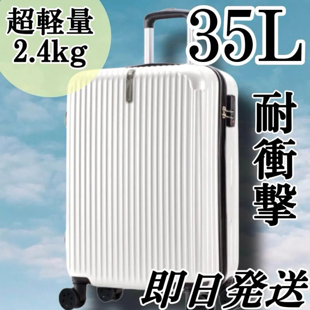 Unused! 35L carry case ◇White carry bag Suitcase ◇Trunk Travel