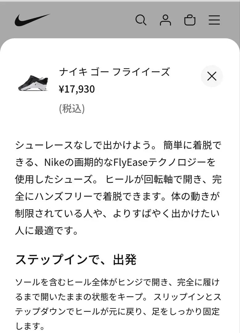 [Anonymous delivery] NIKE Go Fly Ease