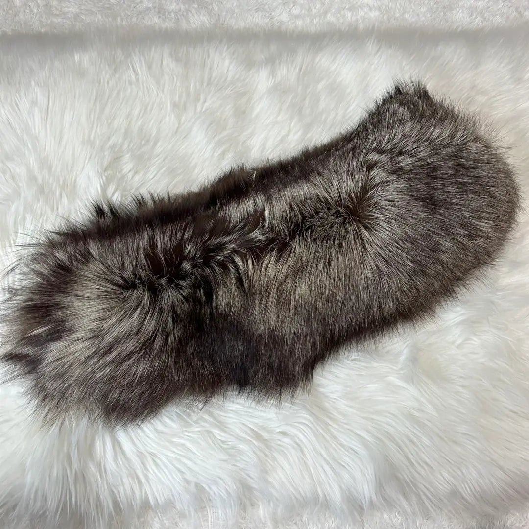 SAGA FOX Collar Fox Fur Fur Ceremonial Occasions