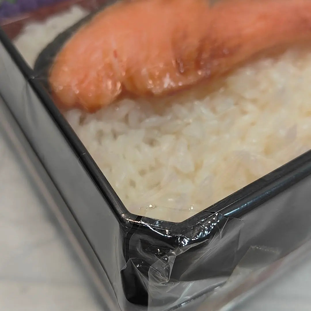 Muestras de comida Bento de salmón Muestra de comida original Tienda Iwasaki BII Nuevo y sin abrir