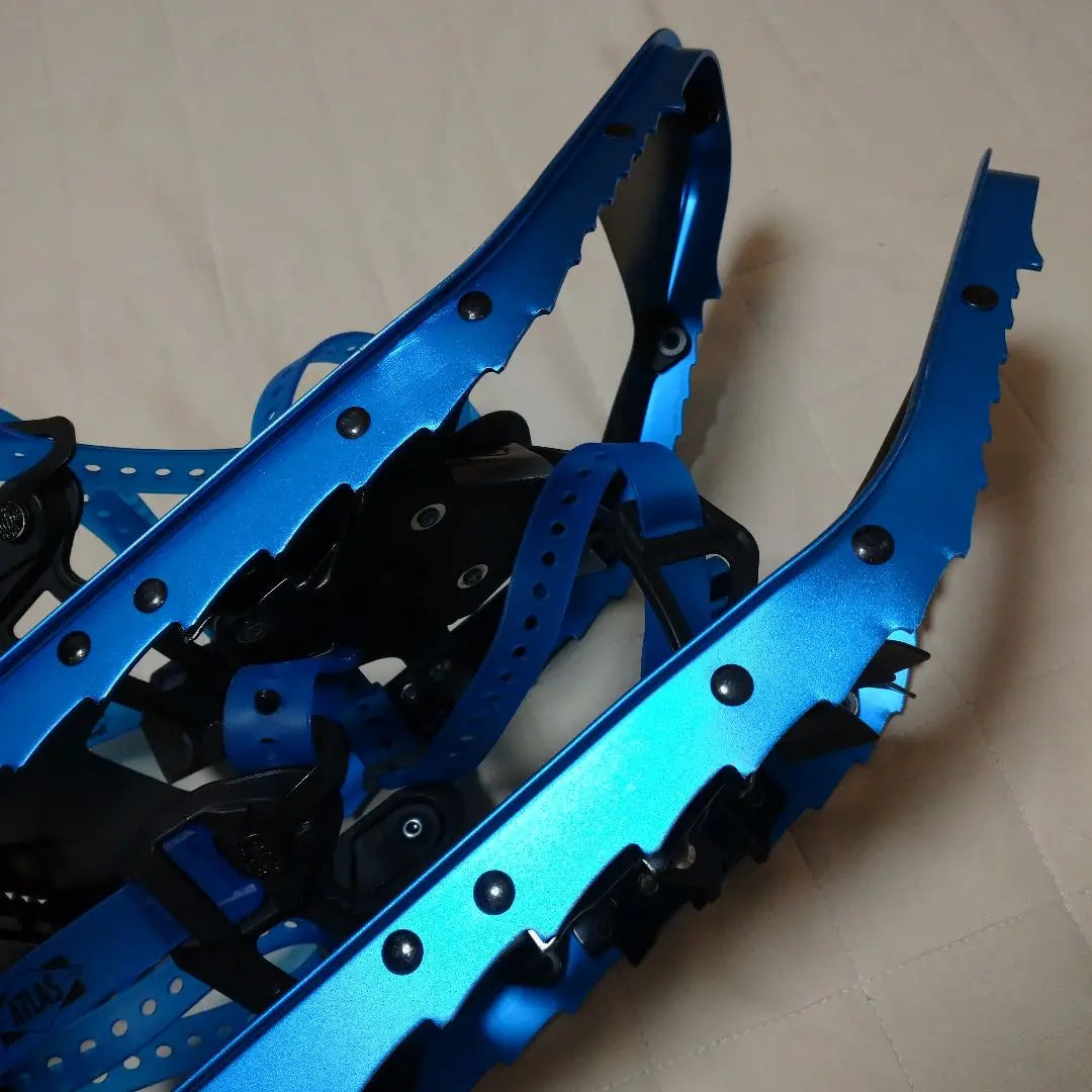 Snowshoes Atlas Range BC 26